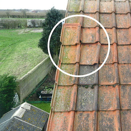 High-level photographs for checking roof and guttering